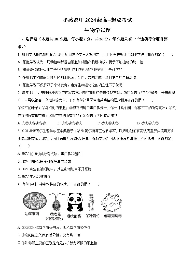 湖北省孝感高级中学2024-2025学年高一上学期开学考试生物试卷（Word版附解析）01