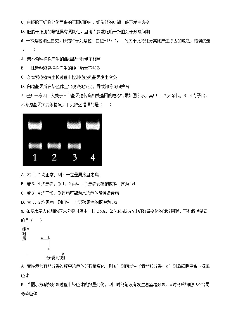 湖北省孝感市新高考联考协作体2024-2025学年高二上学期9月开学联考生物试卷（Word版附解析）03