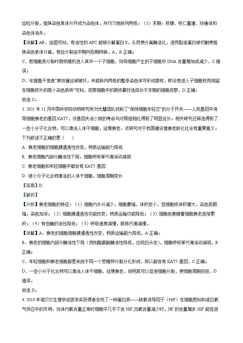 湖北省孝感市新高考联考协作体2024-2025学年高二上学期9月开学联考生物试卷（Word版附解析）03