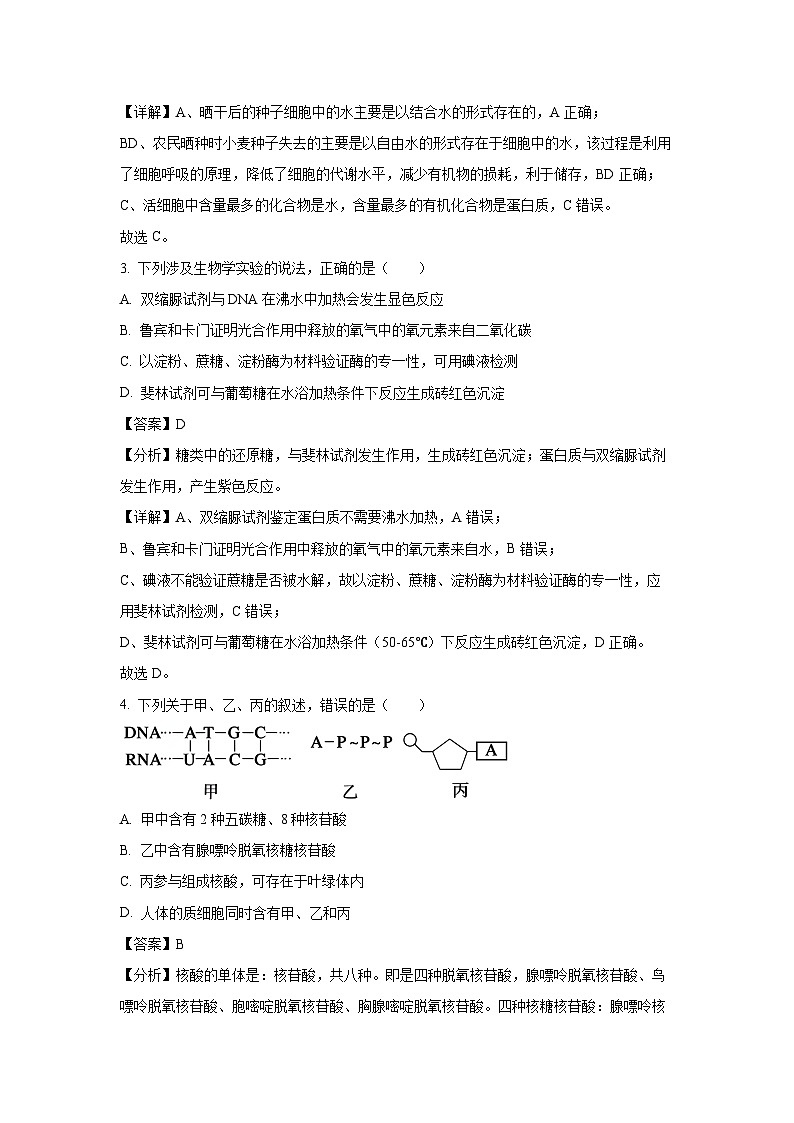 [生物][期末]河北省河北名校联盟2023-2024学年高二下学期7月期末试题(解析版)第2页