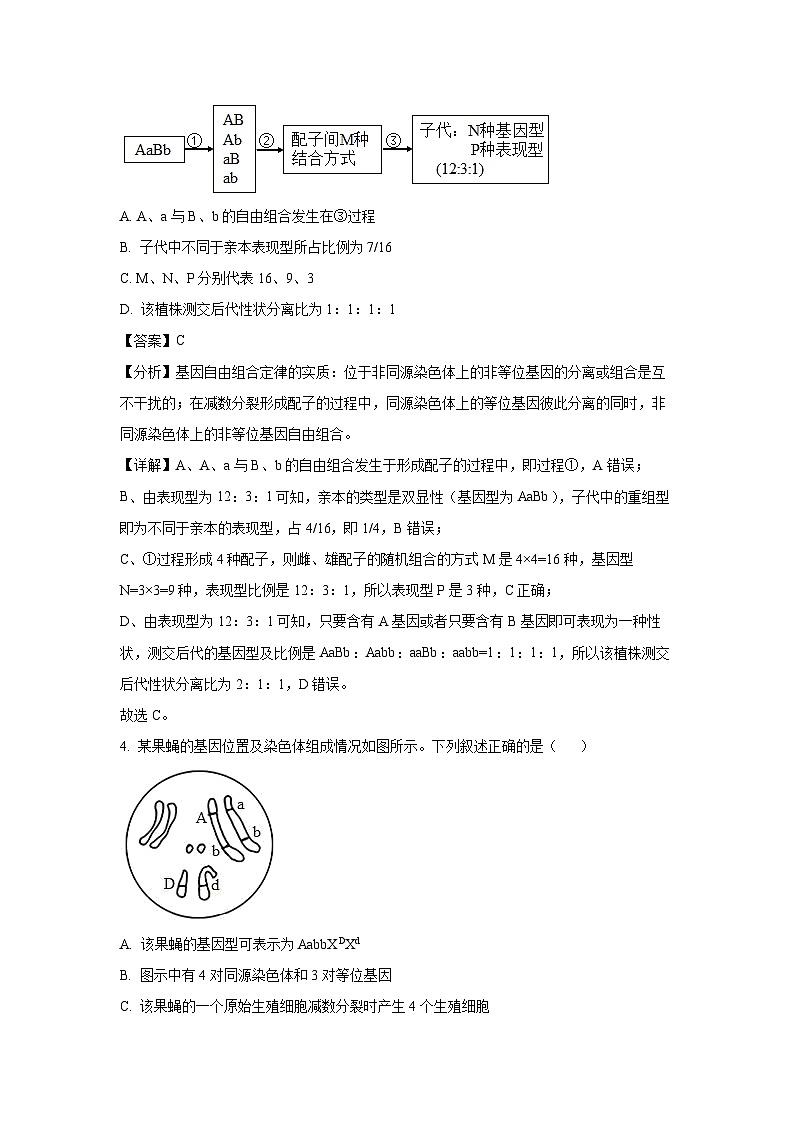 [生物][期末]湖北省武汉市重点中学5G联合体2023-2024学年高一下学期期末考试(解析版)第3页
