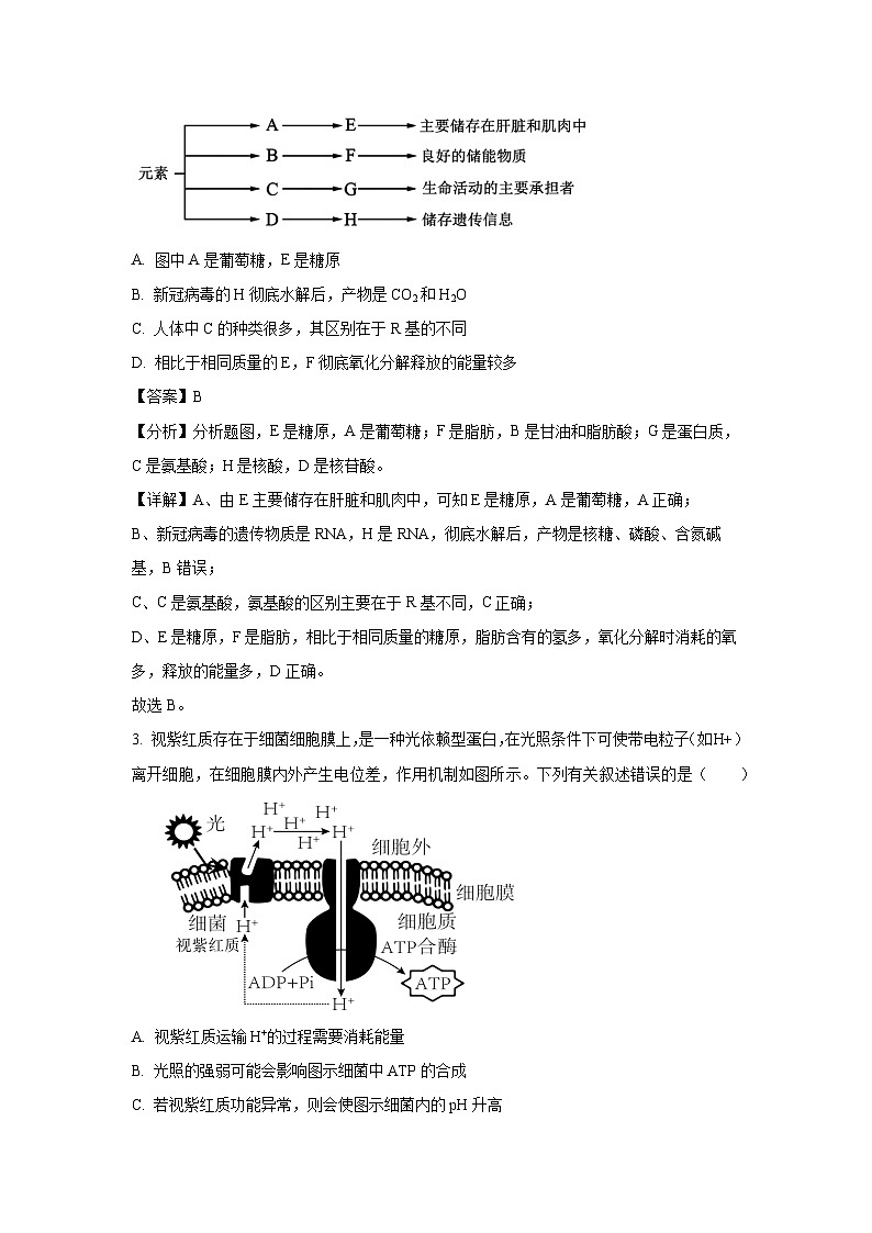 [生物][期末]甘肃省普通高中2023-2024学年高一下学期期末教学质量统一检测(解析版)第2页