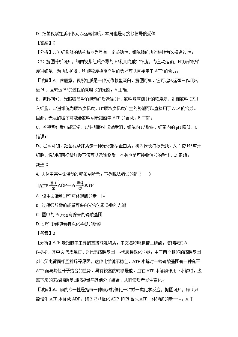 [生物][期末]甘肃省普通高中2023-2024学年高一下学期期末教学质量统一检测(解析版)第3页