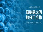 人教版生物高中必修一第3章 细胞的基本结构第2节 细胞器之间的分工合作 课件