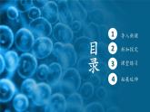 人教版生物高中必修一第3章 细胞的基本结构第2节 细胞器之间的分工合作 课件