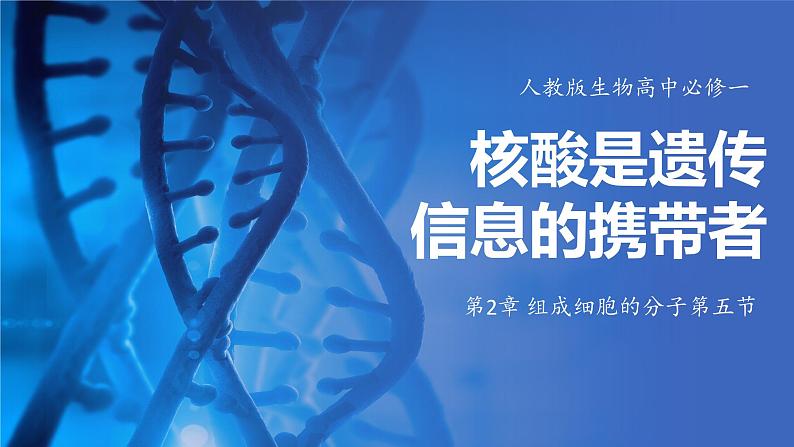 人教版生物高中必修一第2章 组成细胞的分子第五节核酸是遗传信息的携带者 课件第1页