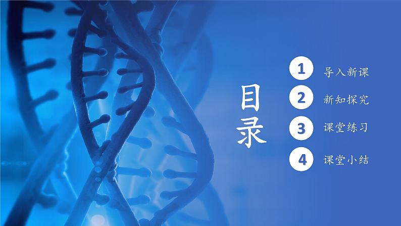 人教版生物高中必修一第2章 组成细胞的分子第五节核酸是遗传信息的携带者 课件第2页