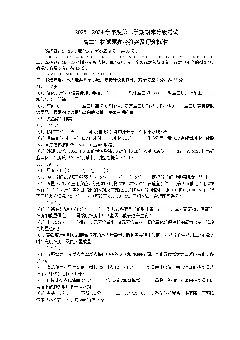 山东省烟台市2023-2024学年高二下学期期末考试生物试题01