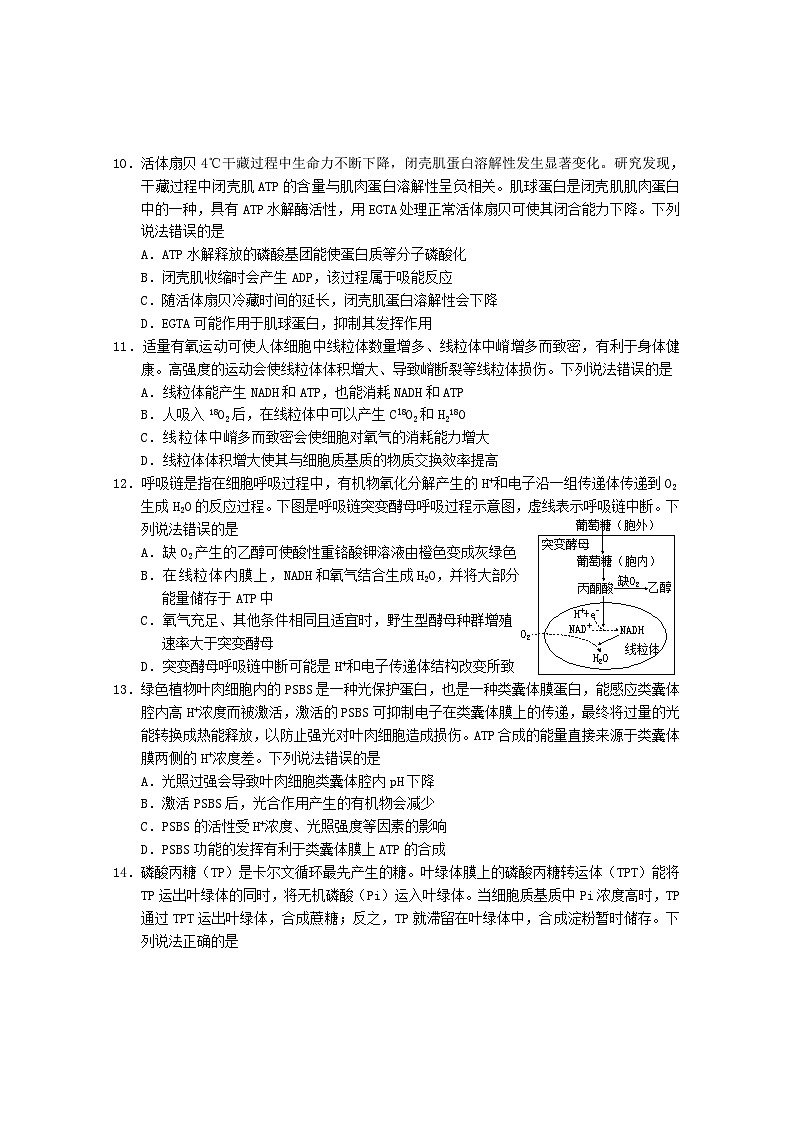 山东省烟台市2023-2024学年高二下学期期末考试生物试题03