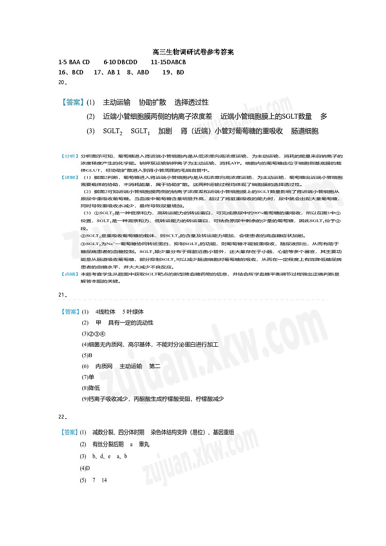 江苏省泗阳县2024-2025学年高三上学期第一次质量调研生物试题01
