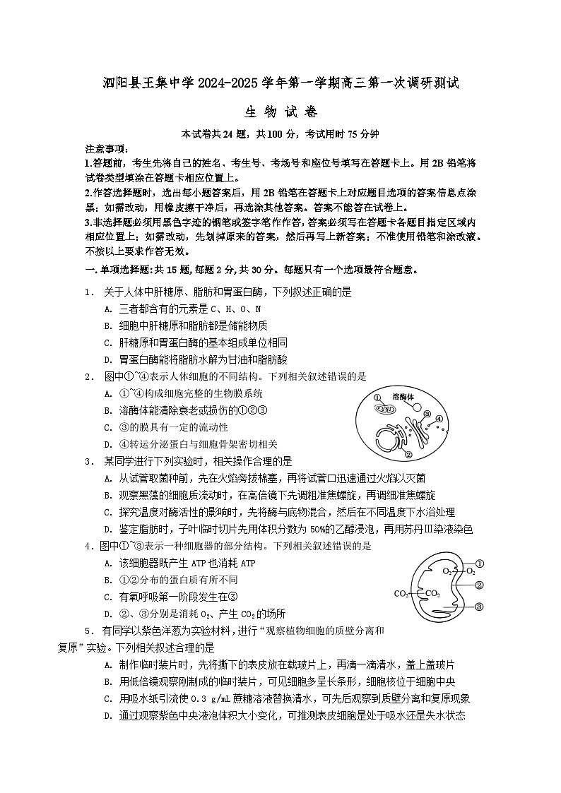 江苏省泗阳县2024-2025学年高三上学期第一次质量调研生物试题01