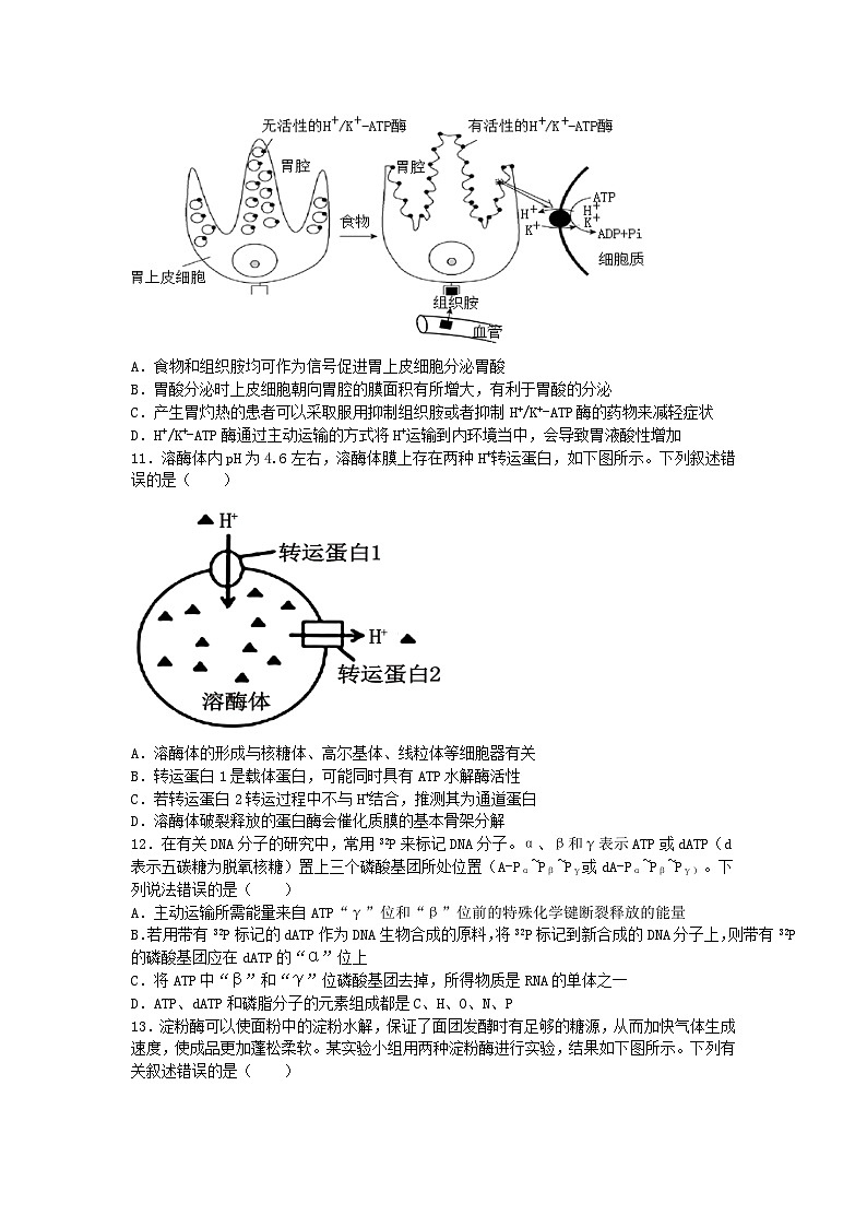 江苏省泗阳县2024-2025学年高三上学期第一次质量调研生物试题03