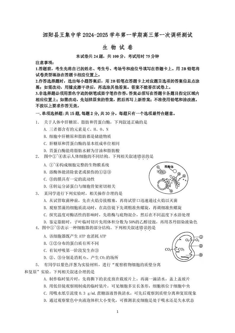 江苏省泗阳县2024-2025学年高三上学期第一次质量调研生物试题01