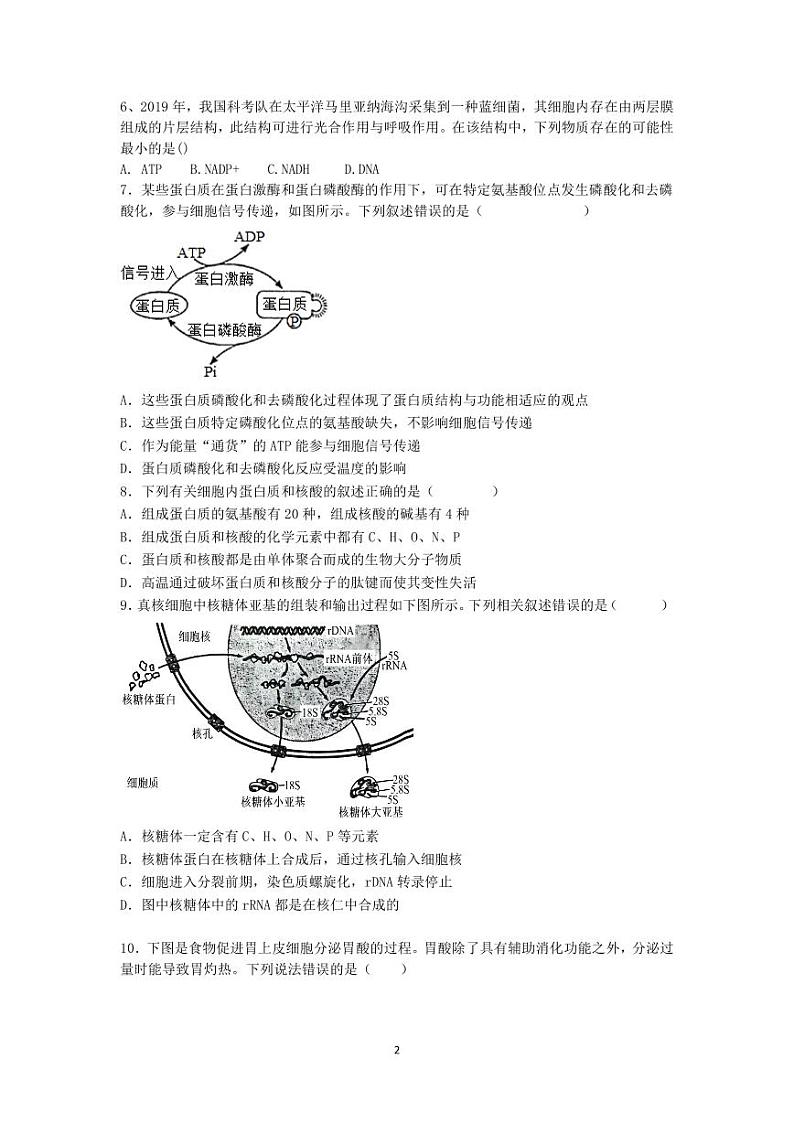 江苏省泗阳县2024-2025学年高三上学期第一次质量调研生物试题02