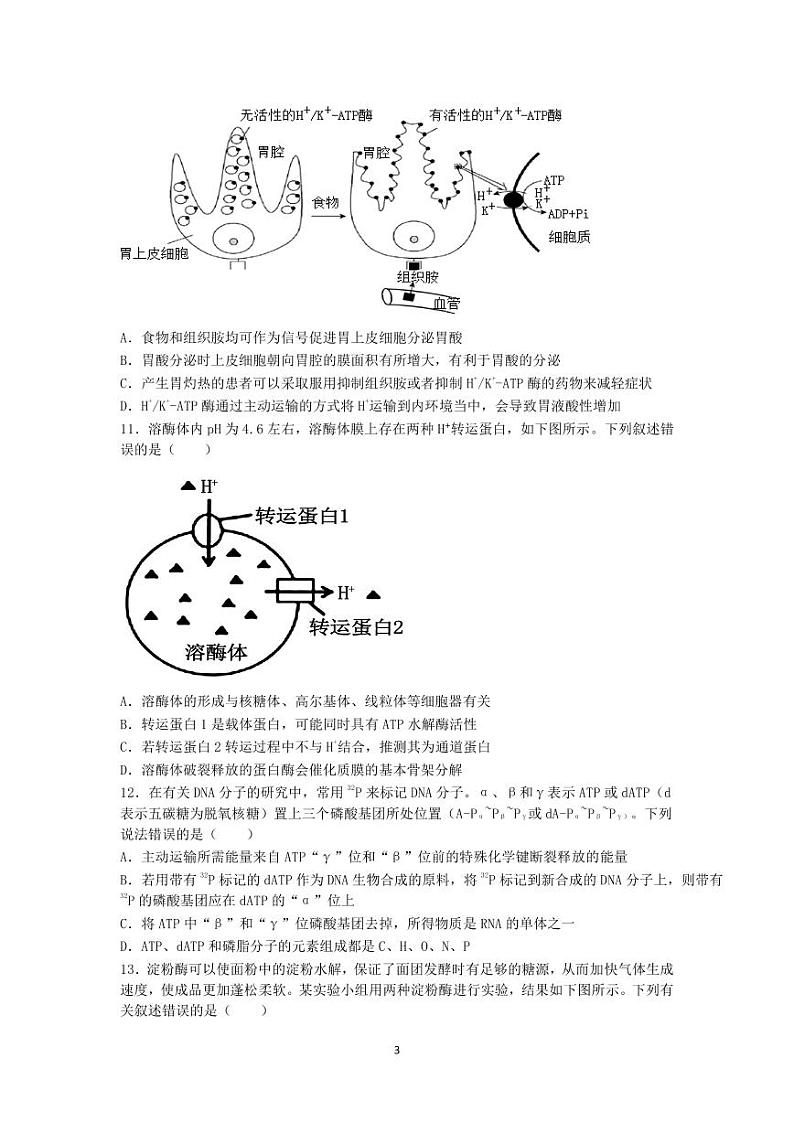 江苏省泗阳县2024-2025学年高三上学期第一次质量调研生物试题03