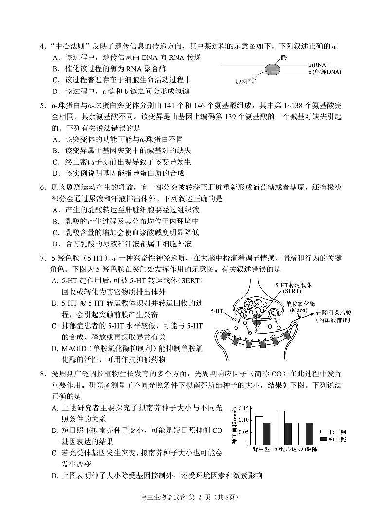 广东省珠海市2024-2025学年高三上学期第一次摸底考试生物试题02