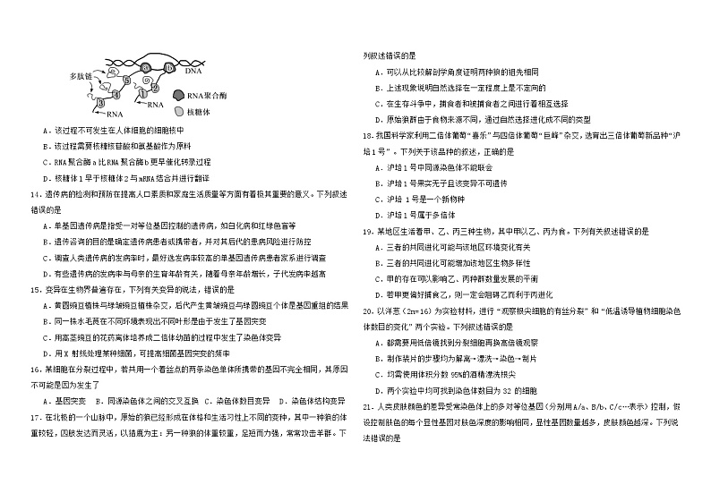 广东省梅州市梅县东山中学2024-2025学年高二上学期开学考试生物试题第3页