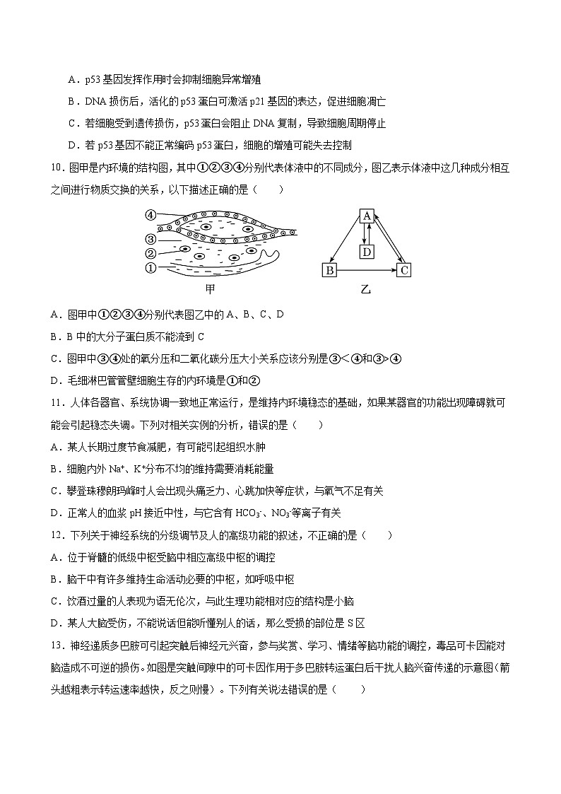 重庆市垫江中学校2024-2025学年高二上学期开学考试生物试题03