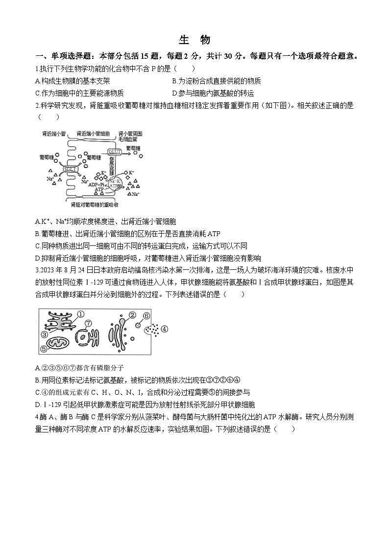 江苏省海安高级中学2024-2025学年高三上学期8月月考生物试题01