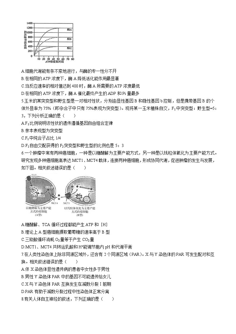 江苏省海安高级中学2024-2025学年高三上学期8月月考生物试题02