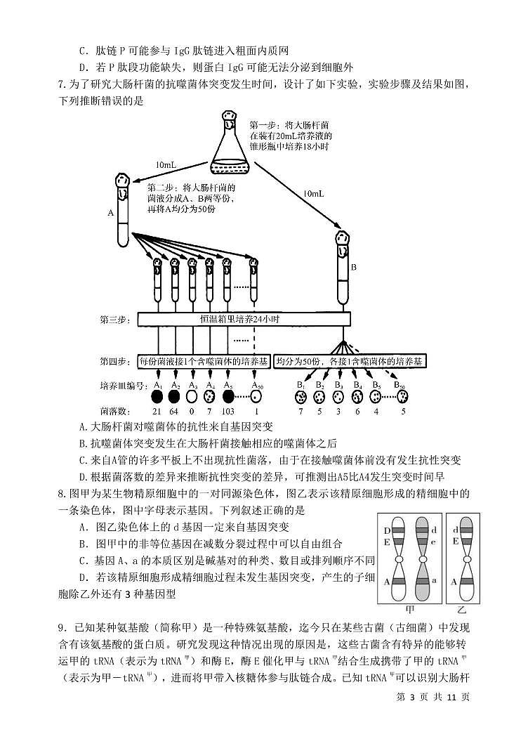 重庆市某中学2024-2025学年高三上学期开学考试生物试题03