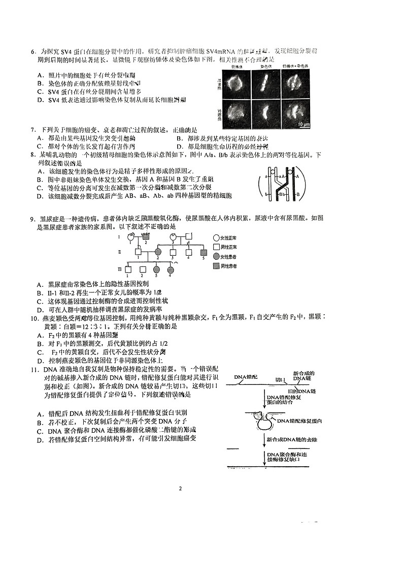 [生物]2024北京八十中高三上学期开学考试卷02