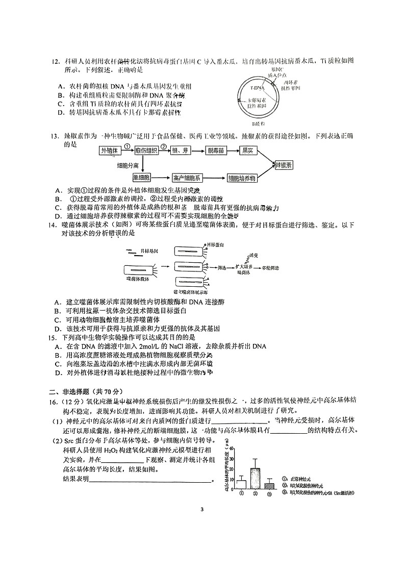[生物]2024北京八十中高三上学期开学考试卷03