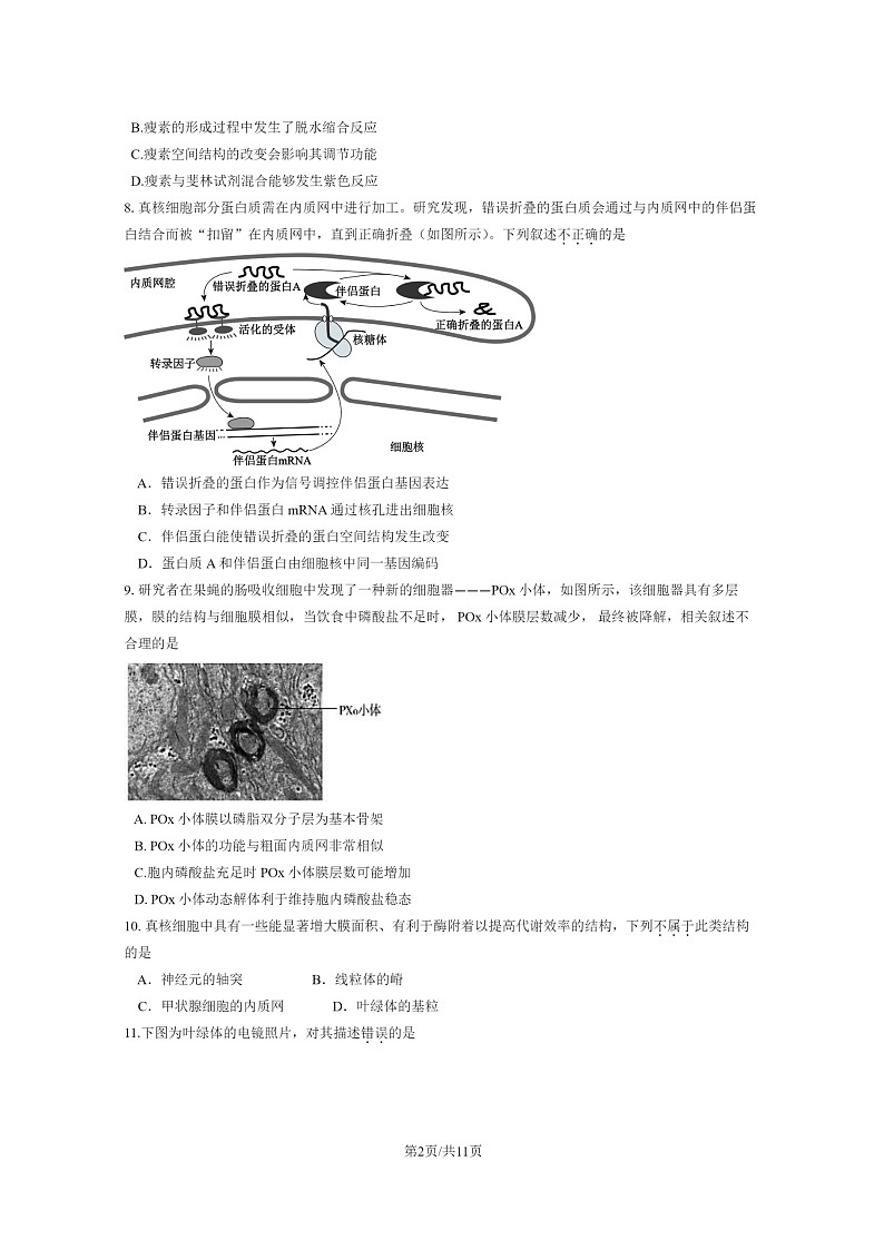 [生物]2024北京十五中高三上学期开学考试卷及答案第2页
