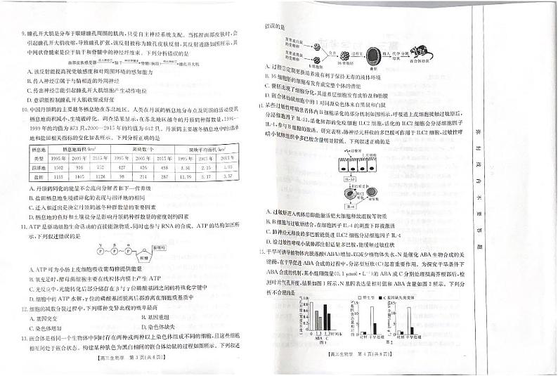 高三试卷生物第2页