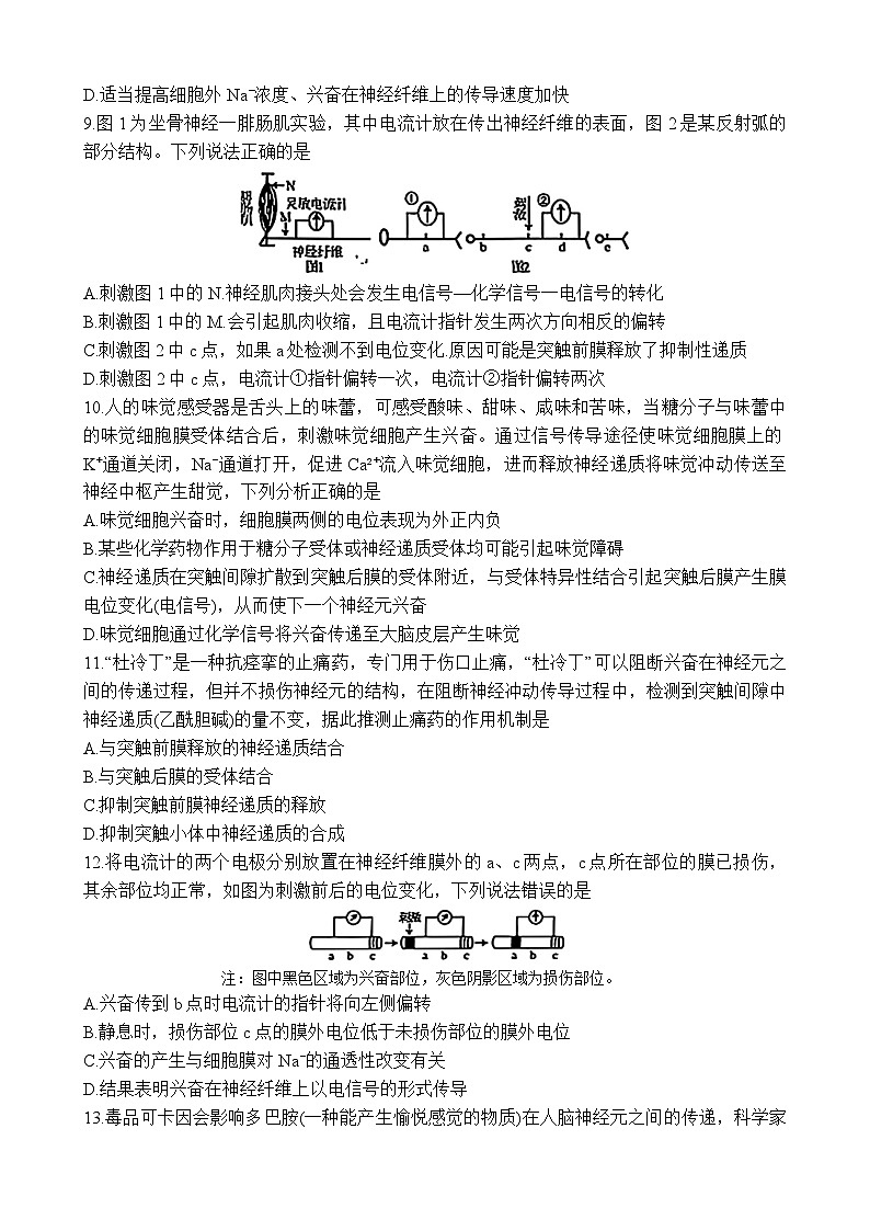 云南省红河州2024-2025学年高二上学期9月月考生物试题03