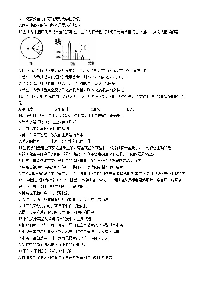 云南省红河州2024-2025学年高一上学期9月月考生物试题03
