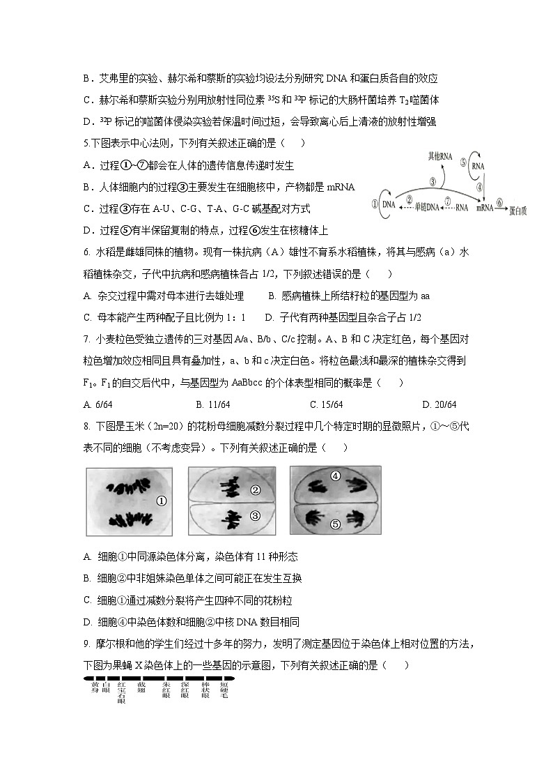 四川省遂宁市船山区遂宁中学校2024-2025学年高二上学期开学考试生物试题第2页
