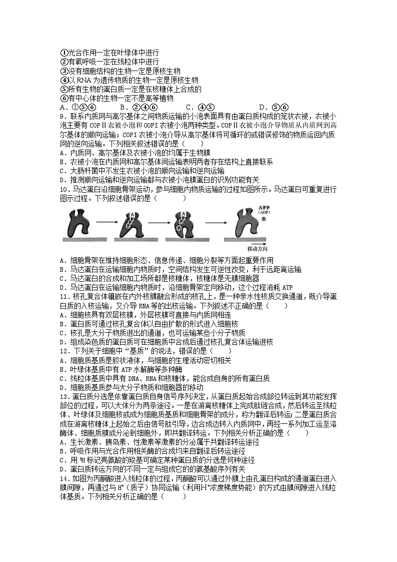 四川省南充市高坪区白塔中学2024-2025学年高三上学期9月入学考试生物试题第2页