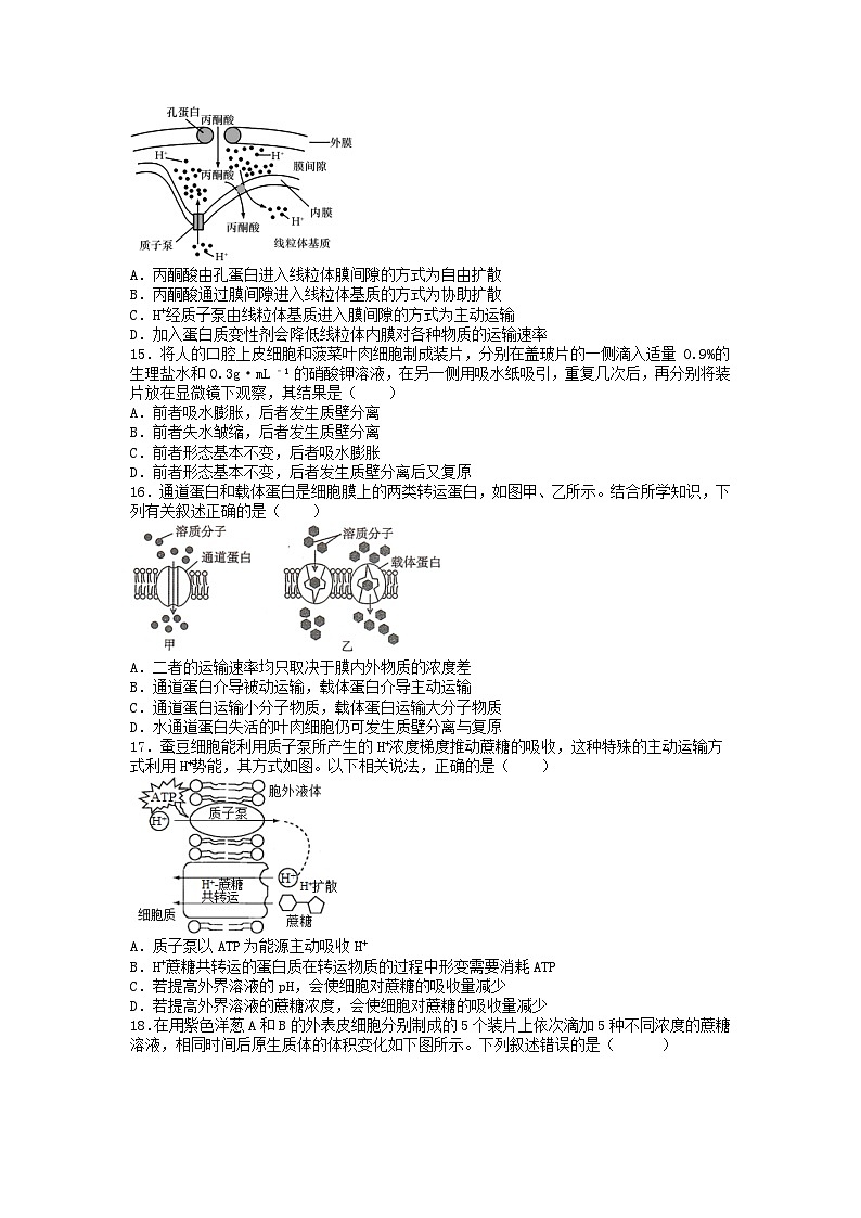 四川省南充市高坪区白塔中学2024-2025学年高三上学期9月入学考试生物试题第3页