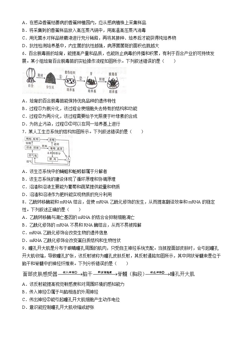 广西部分示范性高中2024-2025学年高三上学期摸底质量检测生物试题第2页