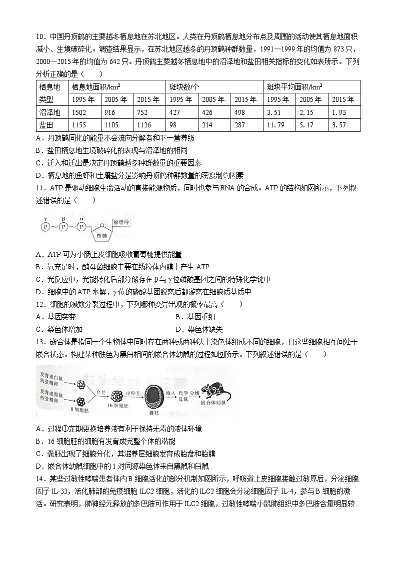 广西部分示范性高中2024-2025学年高三上学期摸底质量检测生物试题第3页