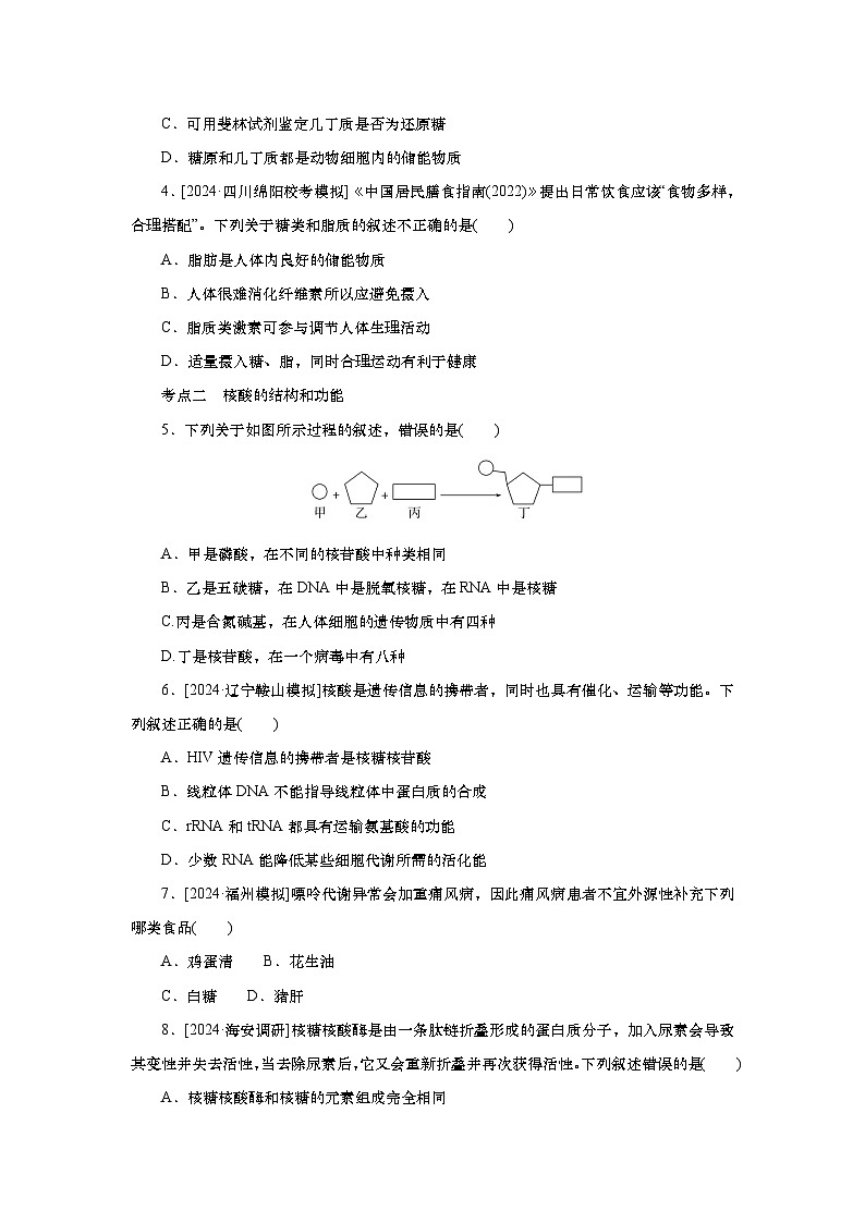2025届高中生物一轮分层复习检测案4　细胞中的糖类和脂质 核酸是遗传信息的携带者（含解析）第2页