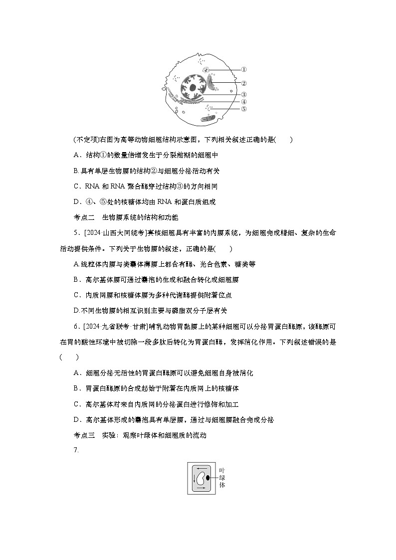 2025届高中生物一轮分层复习检测案6　细胞器之间的分工合作（含解析）02