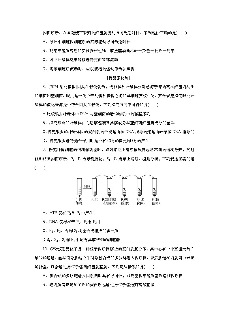 2025届高中生物一轮分层复习检测案6　细胞器之间的分工合作（含解析）03