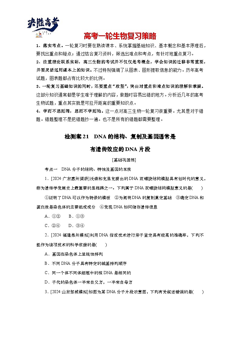 2025届高中生物一轮分层复习检测案21　DNA的结构、复制及基因（含解析）01