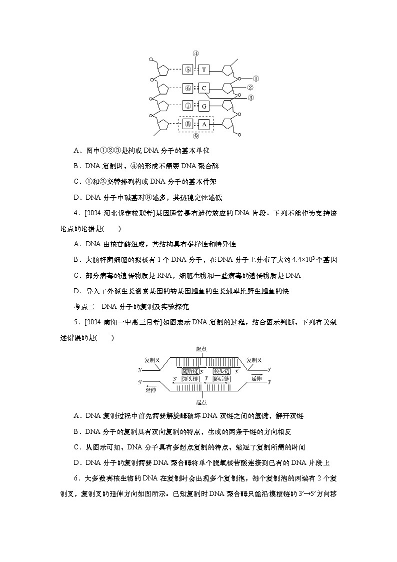 2025届高中生物一轮分层复习检测案21　DNA的结构、复制及基因（含解析）02