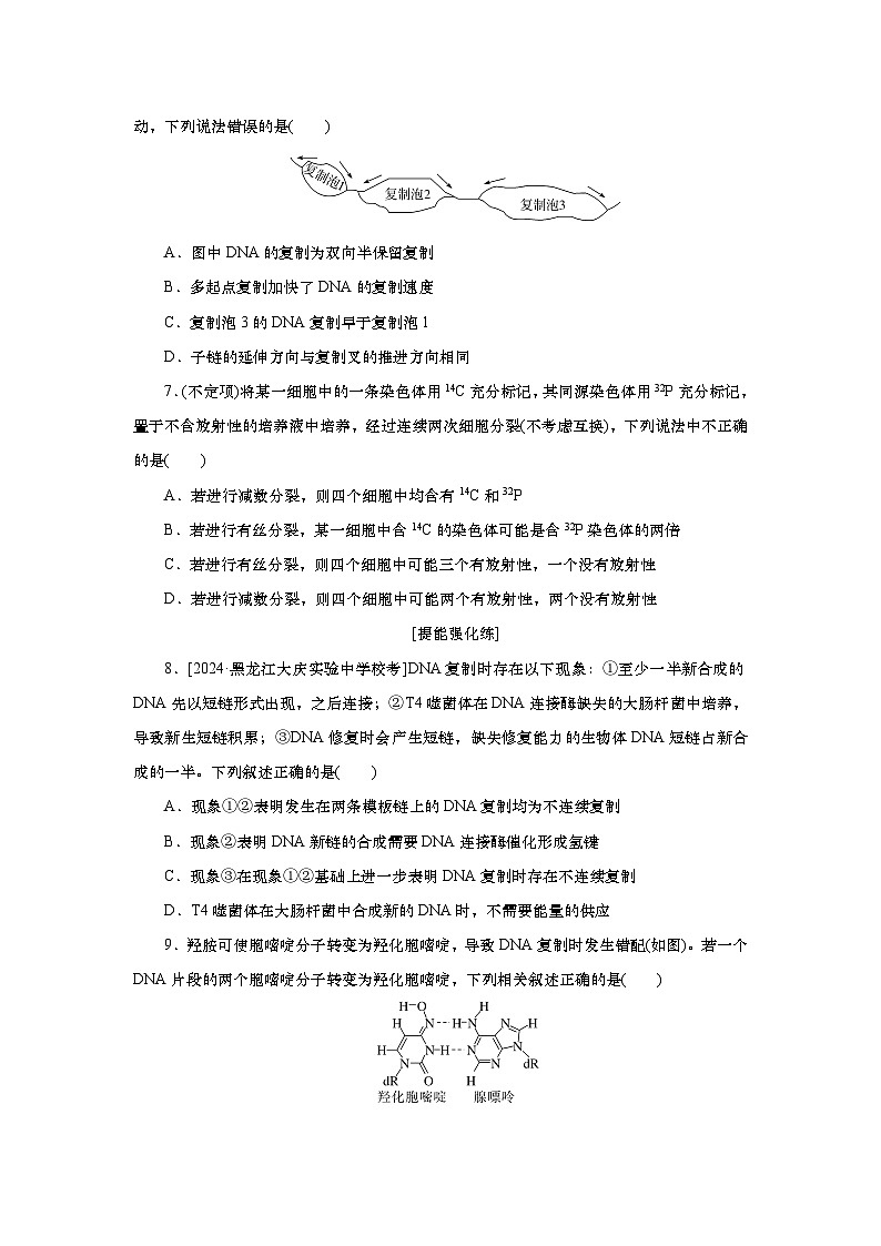 2025届高中生物一轮分层复习检测案21　DNA的结构、复制及基因（含解析）03