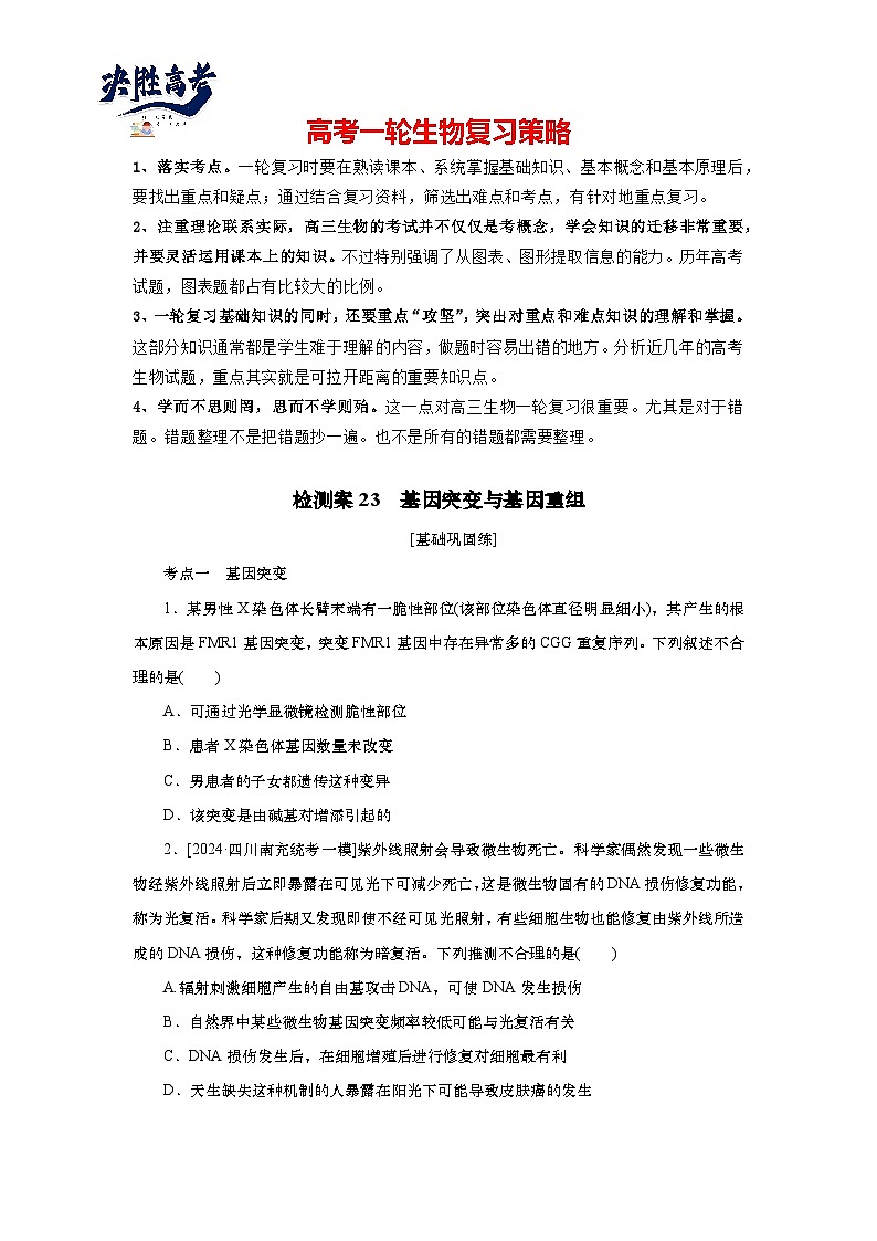 2025届高中生物一轮分层复习检测案23　基因突变与基因重组（含解析）第1页