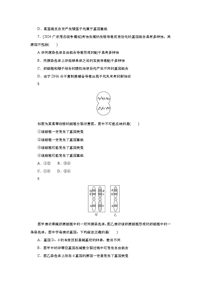 2025届高中生物一轮分层复习检测案23　基因突变与基因重组（含解析）第3页