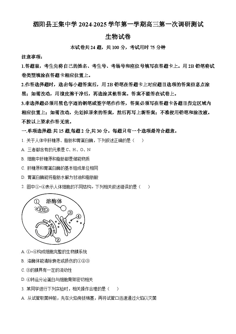 江苏省泗阳县2024-2025学年高三上学期第一次质量调研生物试题（原卷版）第1页