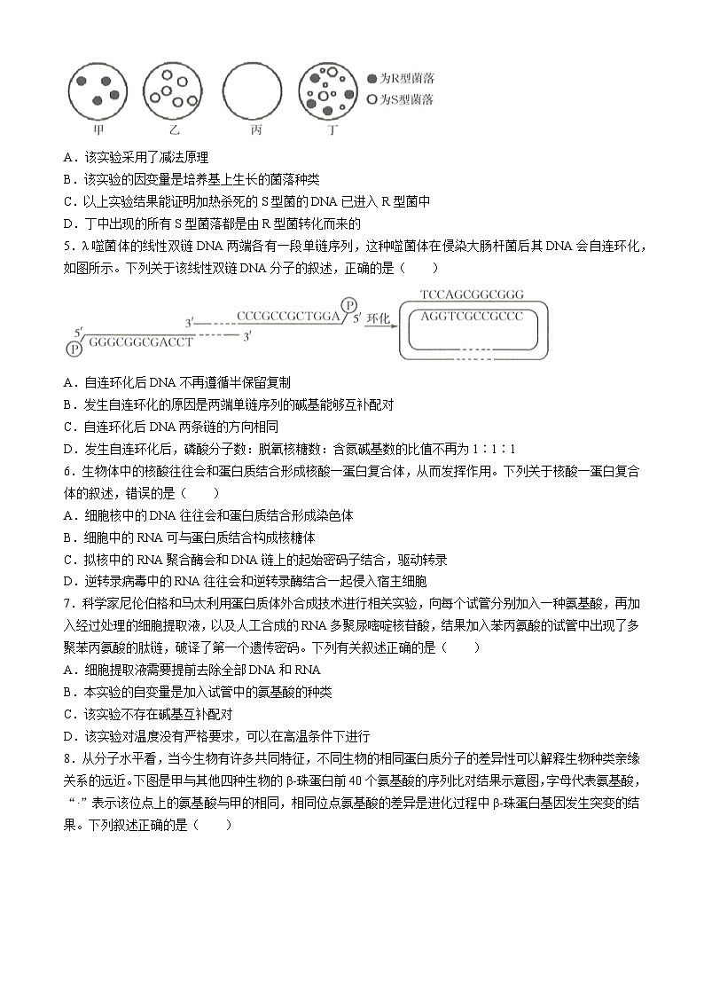 河北省保定市部分高中2024-2025学年高二上学期开学考试生物试题（Word版附答案）02
