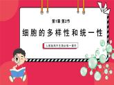 人教版高中生物必修一课件第1章 第2节细胞的多样性和统一性 课件