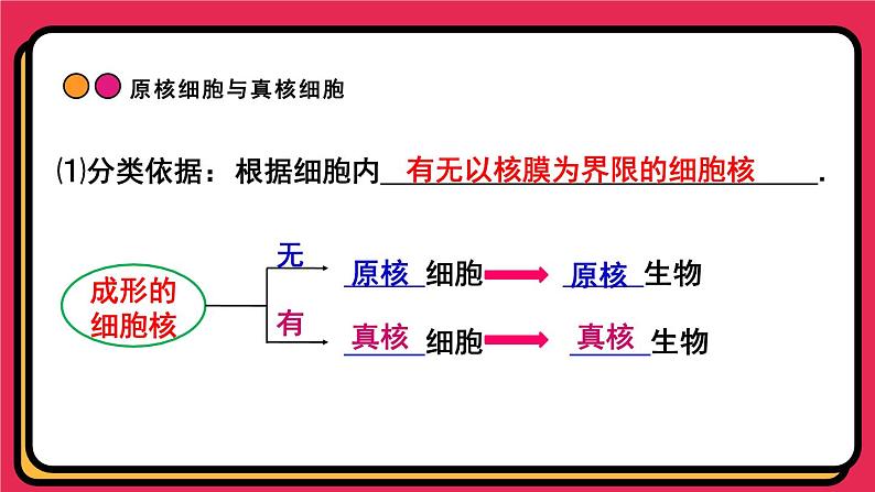 人教版高中生物必修一课件第1章 第2节细胞的多样性和统一性 课件08