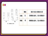 人教版高中生物必修一1.2 细胞的多样性和统一性 课件