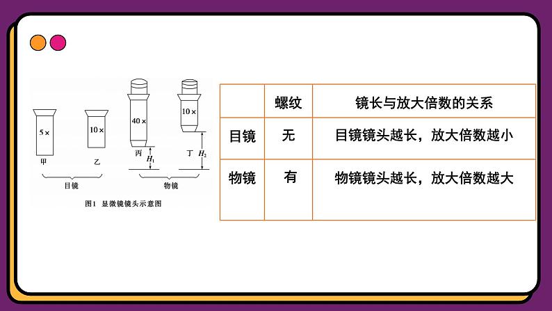 人教版高中生物必修一1.2 细胞的多样性和统一性 课件05